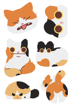 calico-cats